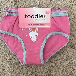 2T Toddler Underwear